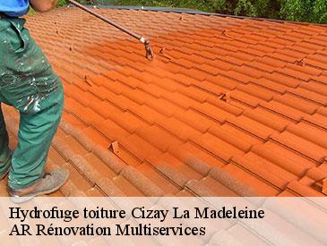 Hydrofuge toiture cizay-la-madeleine-49700 AR Rénovation Multiservices