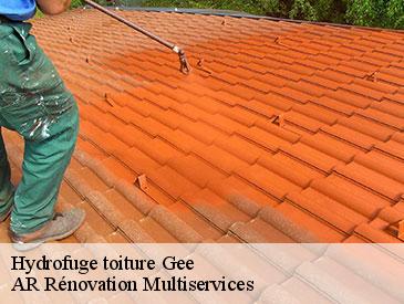 Hydrofuge toiture  gee-49250 AR Rénovation Multiservices 