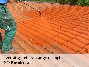 Hydrofuge toiture gruge-l-hopital-49520 ISO Ravalement