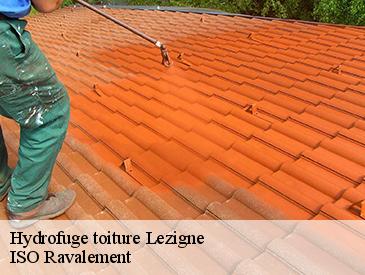Hydrofuge toiture lezigne-49430