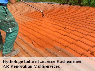 Hydrofuge toiture louresse-rochemenier-49700 AR Rénovation Multiservices