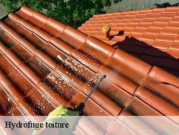 Hydrofuge toiture 49360