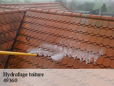 Hydrofuge toiture 49360