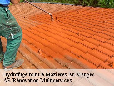 Hydrofuge toiture  mazieres-en-mauges-49280 AR Rénovation Multiservices 