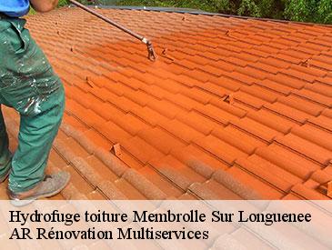 Hydrofuge toiture membrolle-sur-longuenee-49220 AR Rénovation Multiservices