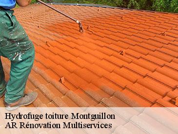 Hydrofuge toiture montguillon-49500 AR Rénovation Multiservices