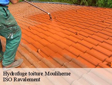 Hydrofuge toiture mouliherne-49390