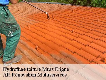 Hydrofuge toiture murs-erigne-49130 AR Rénovation Multiservices