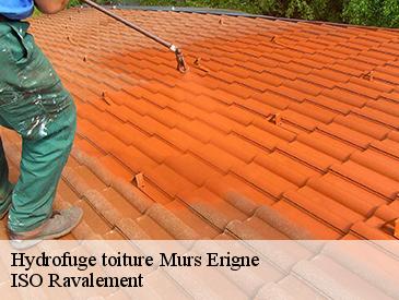 Hydrofuge toiture murs-erigne-49130 ISO Ravalement
