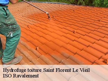 Hydrofuge toiture saint-florent-le-vieil-49410