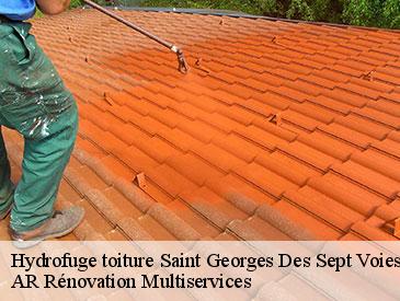 Hydrofuge toiture  saint-georges-des-sept-voies-49350 AR Rénovation Multiservices 