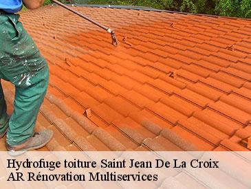 Hydrofuge toiture saint-jean-de-la-croix-49130 AR Rénovation Multiservices