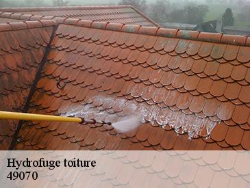 Hydrofuge toiture 49070