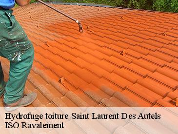 Hydrofuge toiture saint-laurent-des-autels-49270 ISO Ravalement
