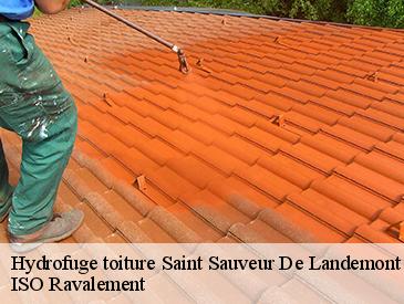 Hydrofuge toiture saint-sauveur-de-landemont-49270