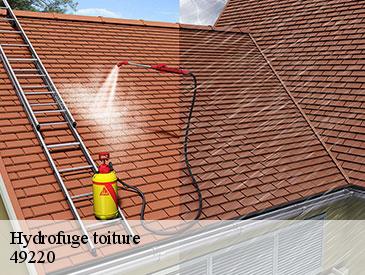 Hydrofuge toiture  49220