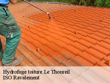 Hydrofuge toiture le-thoureil-49350 ISO Ravalement