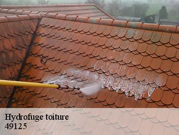Hydrofuge toiture 49125