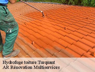 Hydrofuge toiture turquant-49730 AR Rénovation Multiservices