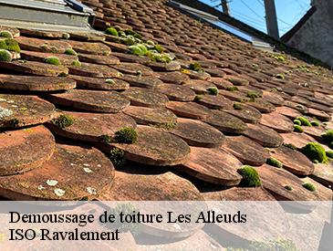 Demoussage de toiture  les-alleuds-49320 