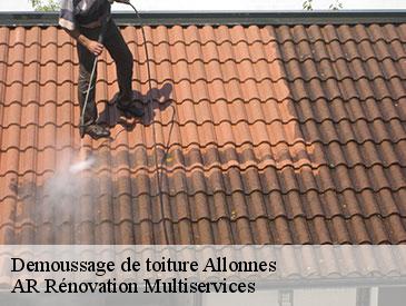 Demoussage de toiture allonnes-49650 AR Rénovation Multiservices
