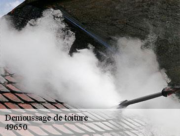 Demoussage de toiture 49650