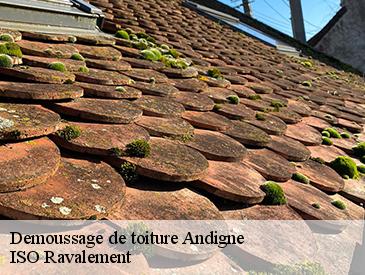 Demoussage de toiture andigne-49220 ISO Ravalement