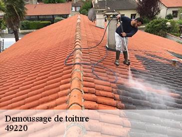 Demoussage de toiture 49220