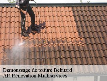 Demoussage de toiture behuard-49170 AR Rénovation Multiservices