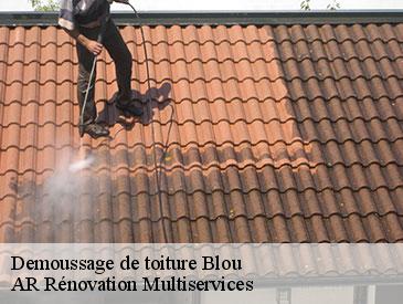 Demoussage de toiture blou-49160 AR Rénovation Multiservices