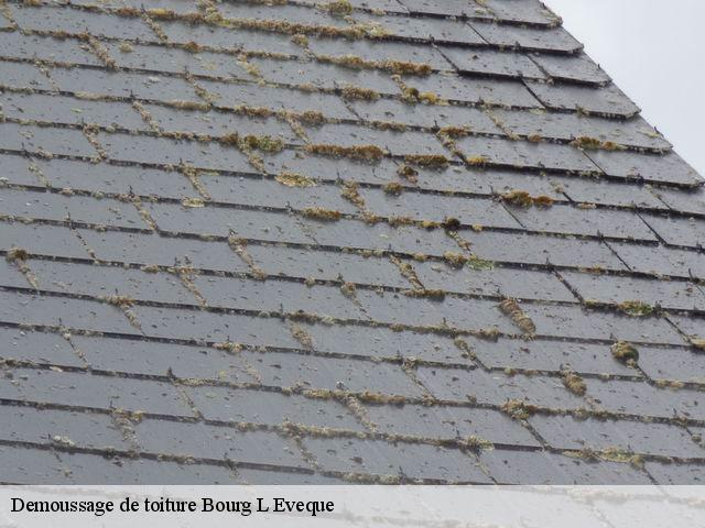 Demoussage de toiture  bourg-l-eveque-49520 