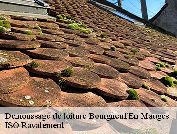 Demoussage de toiture  bourgneuf-en-mauges-49290 