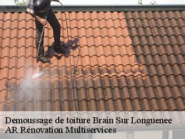 Demoussage de toiture brain-sur-longuenee-49220 AR Rénovation Multiservices