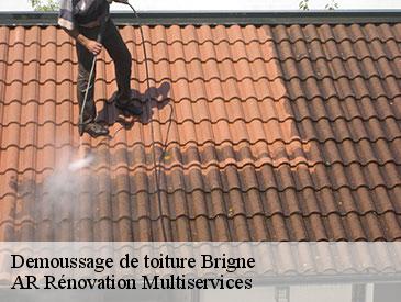 Demoussage de toiture brigne-49700 AR Rénovation Multiservices