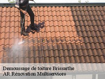 Demoussage de toiture brissarthe-49330 AR Rénovation Multiservices