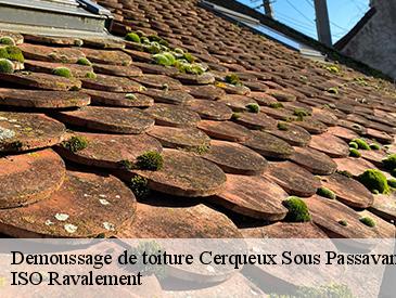 Demoussage de toiture  cerqueux-sous-passavant-49310 