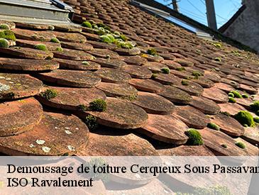 Demoussage de toiture cerqueux-sous-passavant-49310 ISO Ravalement
