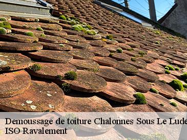 Demoussage de toiture  chalonnes-sous-le-lude-49490 