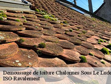 Demoussage de toiture chalonnes-sous-le-lude-49490 ISO Ravalement