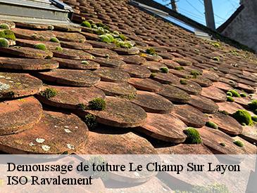 Demoussage de toiture  le-champ-sur-layon-49380 