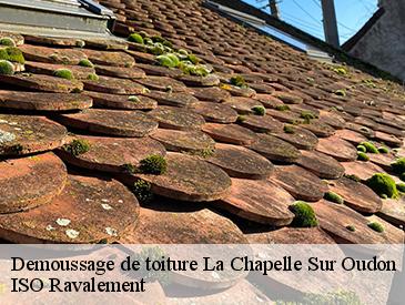 Demoussage de toiture la-chapelle-sur-oudon-49500