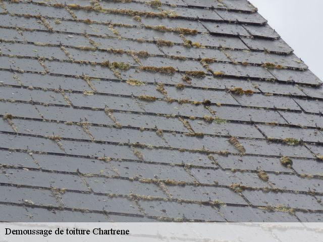 Demoussage de toiture  chartrene-49150 