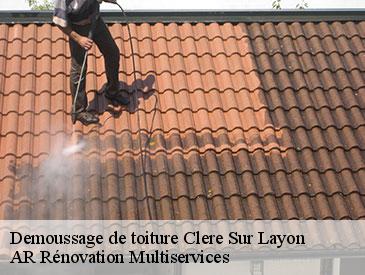Demoussage de toiture  clere-sur-layon-49560 AR Rénovation Multiservices 