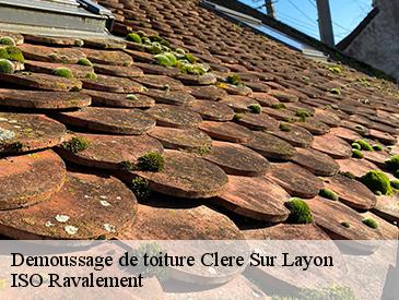 Demoussage de toiture clere-sur-layon-49560 ISO Ravalement