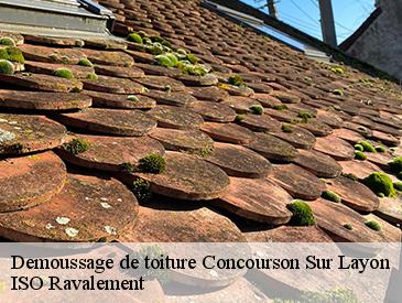 Demoussage de toiture concourson-sur-layon-49700 ISO Ravalement