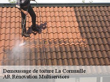 Demoussage de toiture  la-cornuaille-49440 AR Rénovation Multiservices 