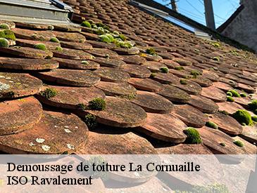 Demoussage de toiture  la-cornuaille-49440 