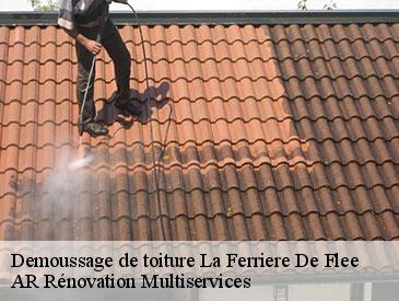 Demoussage de toiture la-ferriere-de-flee-49500 AR Rénovation Multiservices