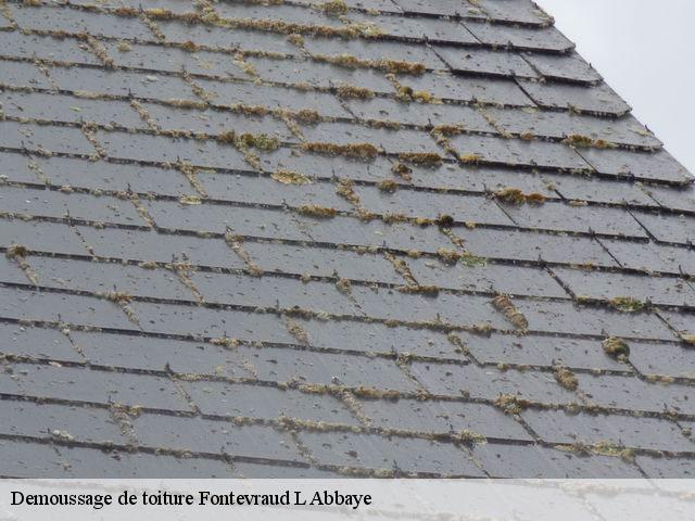 Demoussage de toiture  fontevraud-l-abbaye-49590 