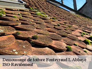 Demoussage de toiture  fontevraud-l-abbaye-49590 